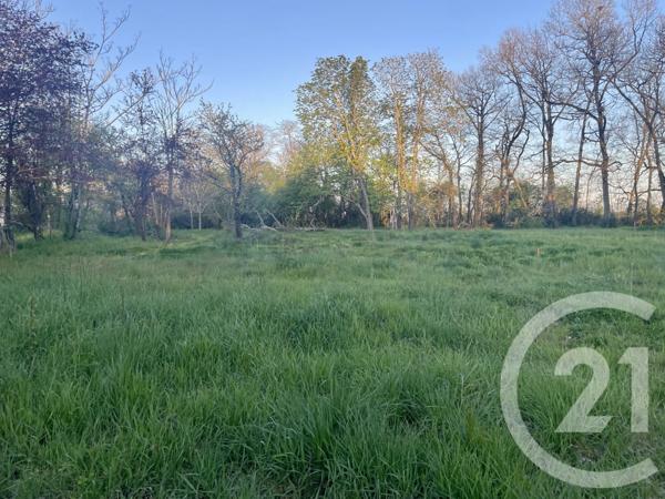 Terrain à vendre  3454 m2 LEGUEVIN - 31