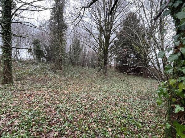 Maison à vendre 40 000 € Saint-Priest-les-Fougères 5 p 90 m² DPE D