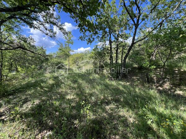 Terrain de 4 899 m²