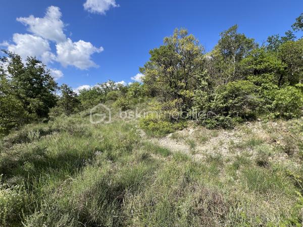 Terrain de 4 899 m²