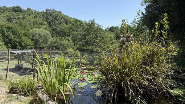 Propriété de caractère avec activité de gîtes sur environ 10 hectares .