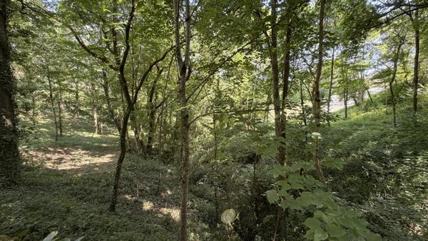 Propriété de caractère avec activité de gîtes sur environ 10 hectares .