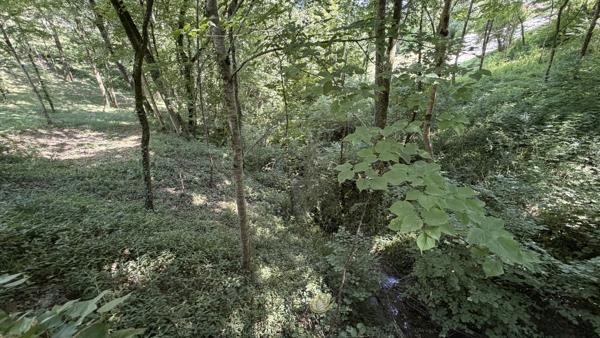 Propriété de caractère avec activité de gîtes sur environ 10 hectares .