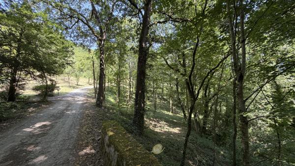 Propriété de caractère avec activité de gîtes sur environ 10 hectares .