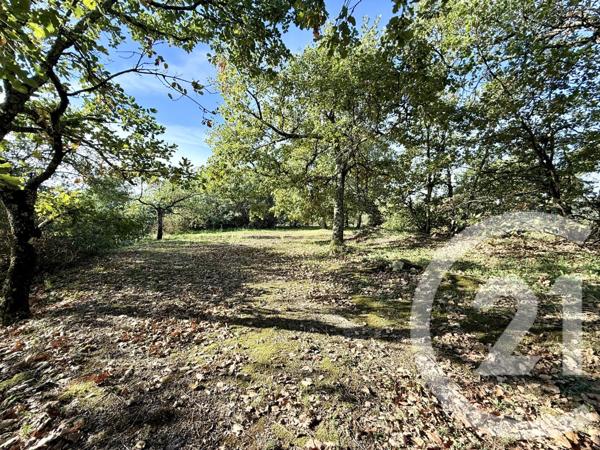 Maison à vendre  5 pièces - 110 m2 LARGENTIERE - 07