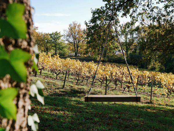 Élégante propriété familiale de 280m² avec vue sur les vignes, à 25 minutes d'Angers Sud