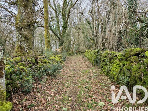 Maison à vendre 5 pièces 122 m² Tarnac