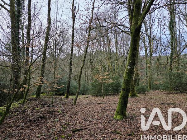 Maison à vendre 5 pièces 122 m² Tarnac