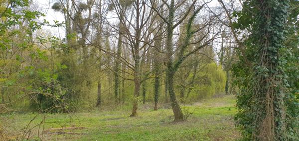 Le Thoult-Trosnay (51210) BELLE MAISON AVEC PISCINE ET PARC BOISE