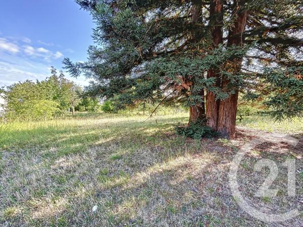 Terrain à vendre  1763 m2 CHABRIS - 36
