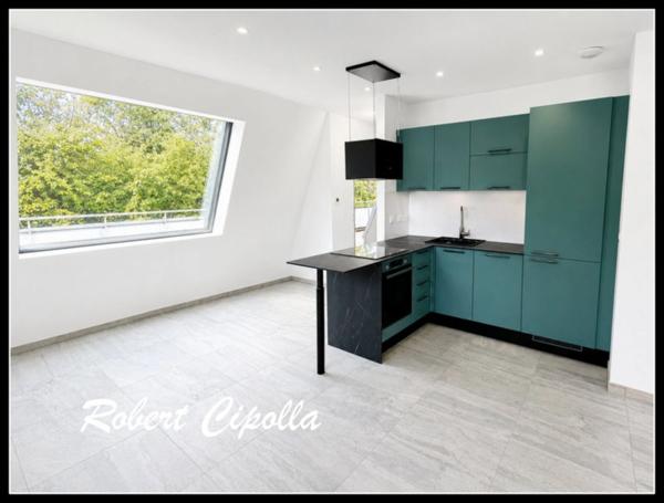 Attique T2 Metz _51,5m²_très grande terrasse de 41m² parking inclus + cuisine équipée