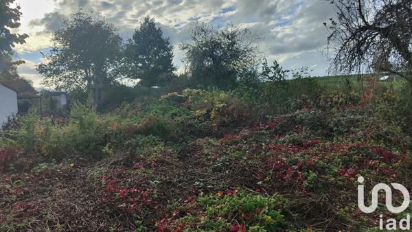 Terrain à vendre 4 950 m² Saint-Maurice-Thizouaille