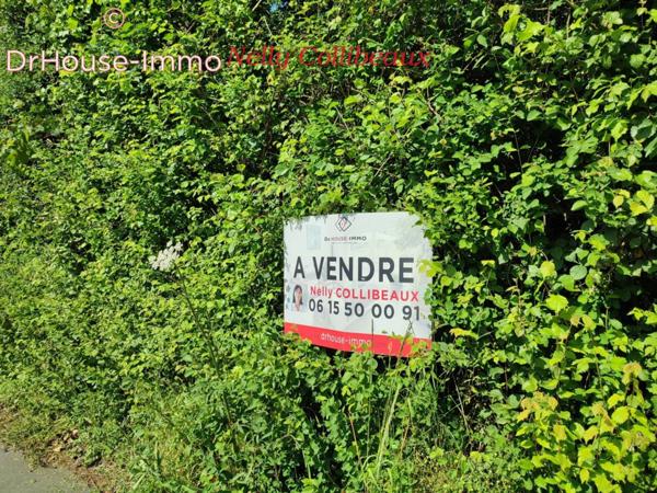 Terrain à vendre de 1 358 m²