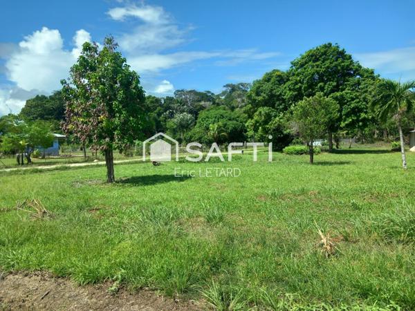 terrain constructible