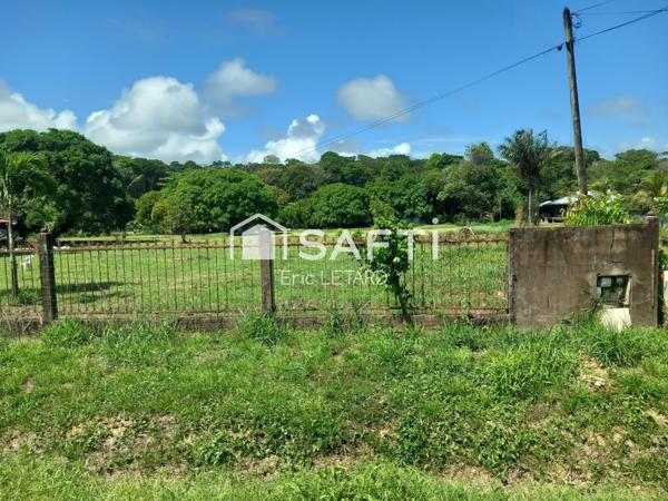 terrain constructible