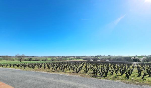 MAGNIFIQUE TERRAIN A BATIR, LIBRE DE CONSTRUCTEUR, A 5 MN DU CENTRE DE VALLET !!!,  
Vallet 44330