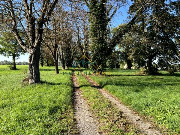 A VENDRE TERRAIN COMMERCIAL AVEC MAISON A FAUILLET