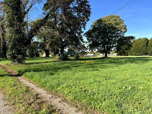 A VENDRE TERRAIN COMMERCIAL AVEC MAISON A FAUILLET