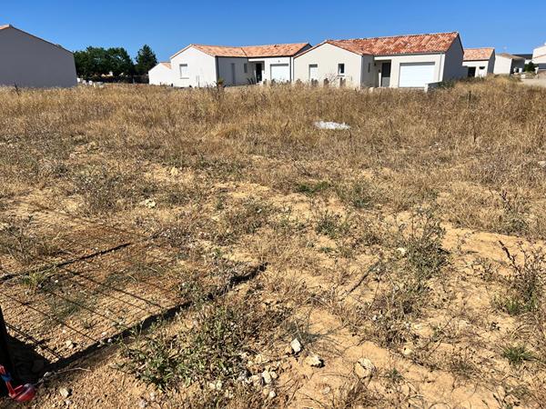 Terrain Saint Vincent Sur Jard 339 m2