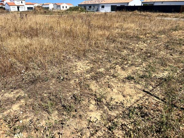 Terrain Saint Vincent Sur Jard 339 m2