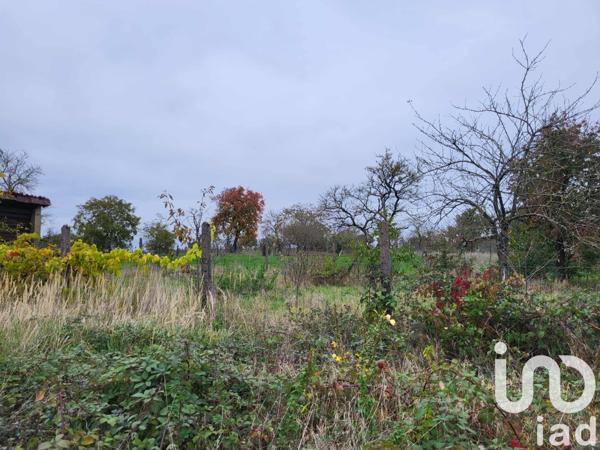 Maison à vendre 4 pièces 127 m² Flétrange