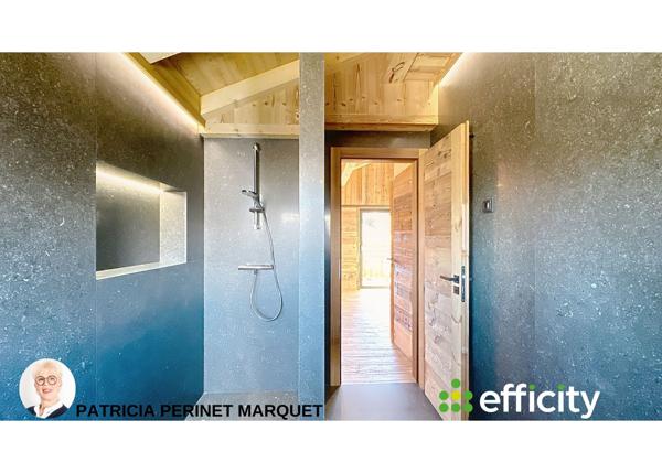 Maison 7 pièces - 217 m² Bien prestige