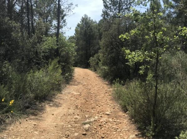 Terrain non constructible 25 000 m²