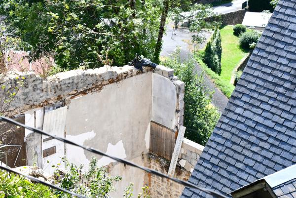 Maison à vendre à Treignac (19260) - Corrèze
