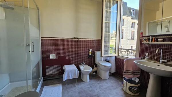 Achat - Maison Vendôme 41100 10 pièces 330 m 2 698 m 2