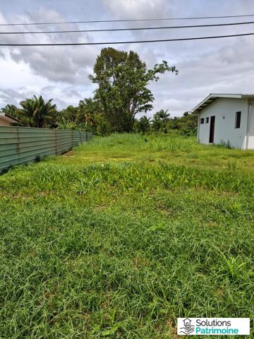 Terrain 9753 m² à Matoury – Idéal Investisseur / Promoteur – Potentiel Lotissement