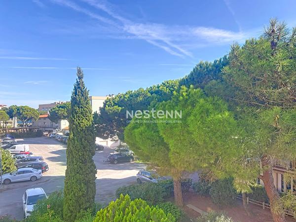 Appartement Argeles Sur Mer 2 pièce(s) 30 m2 À 100m de la plage