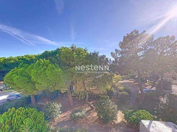 Appartement Argeles Sur Mer 2 pièce(s) 30 m2 À 100m de la plage