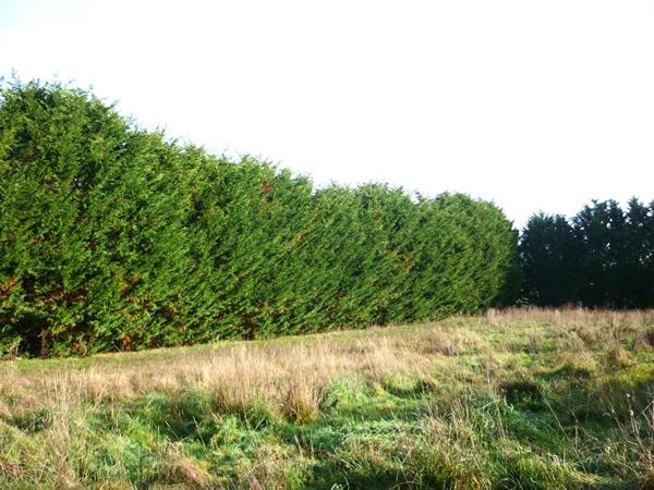 Spacieuse maison familiale de 6 pièces
