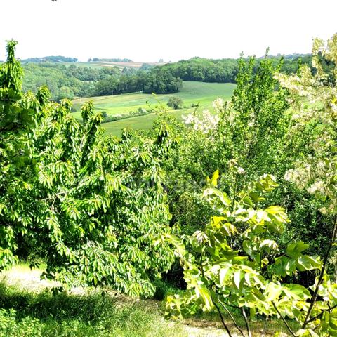 Maison de campagne avec 5 dépendances à restaurer à vendre, à proximité de Saint-Clar (32)