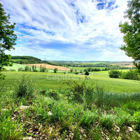 Maison de campagne avec 5 dépendances à restaurer à vendre, à proximité de Saint-Clar (32)