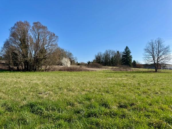 Terrain constructible 2 223 m² – CU validé (1 ou 2 maisons possible) – 15 min Trélissac