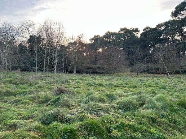 Terrain à bâtir 3005m²- Eysines Le Pinsan