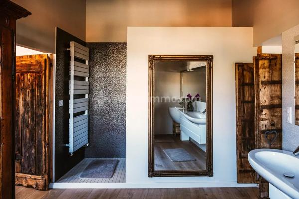 Vente                                                      Maison
                        
                                         395 m2                     à Vic-le-Comte