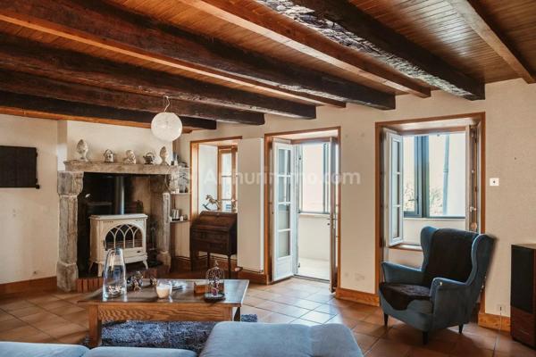 Vente                                                      Maison
                        
                                         395 m2                     à Vic-le-Comte