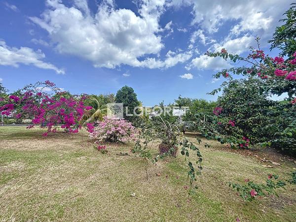 Achat maison Le Moule - 3 pièce(s) - 85 m² - 305 200 €