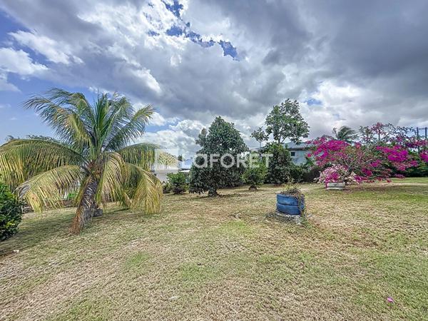 Achat maison Le Moule - 3 pièce(s) - 85 m² - 305 200 €