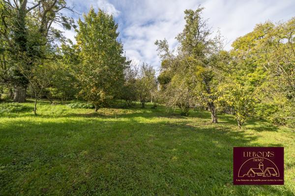 Affracourt (54740) Maison indépendante sur terrain de près de 3000m²