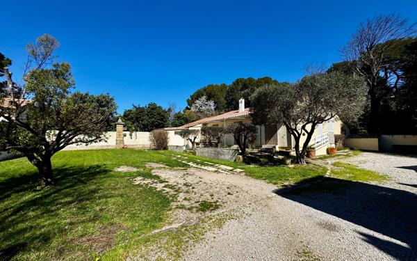 Maison à vendre    8 pièces •  Eyguières