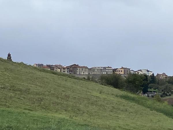 Vente / Terrain agricole