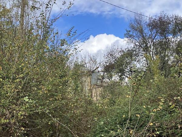 Vente / Terrain agricole