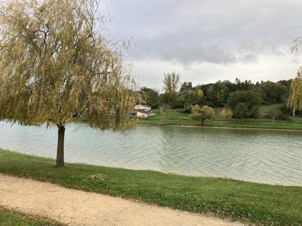 Vente / Terrain agricole