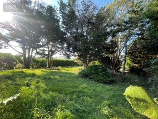 Terrain à Batir à vendre à Savennières dans le Maine-et-Loire (49170), ref : 49012-2027