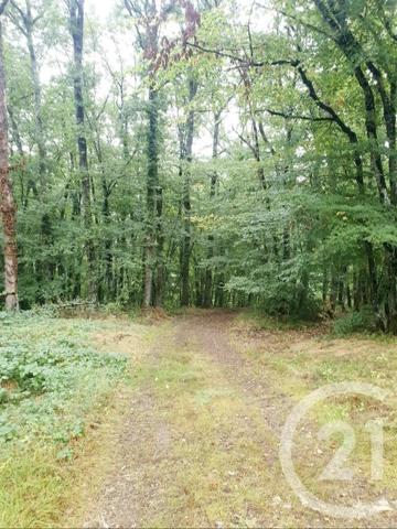 terrain à vendre 10553 m2 MAZIRAT - 03