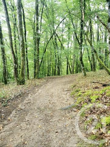 terrain à vendre 10553 m2 MAZIRAT - 03