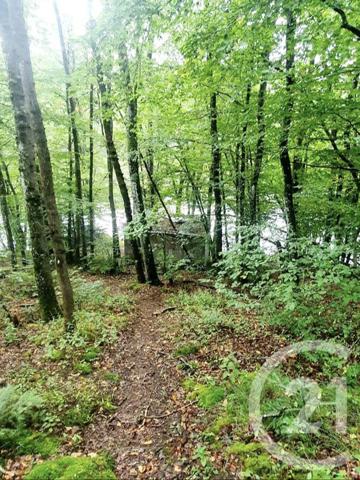 terrain à vendre 10553 m2 MAZIRAT - 03